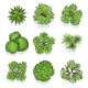 Top View Different Plants and Trees Vector Set by MicrovOne | GraphicRiver