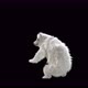 188 Bear Standing Jump 4K - VideoHive Item for Sale