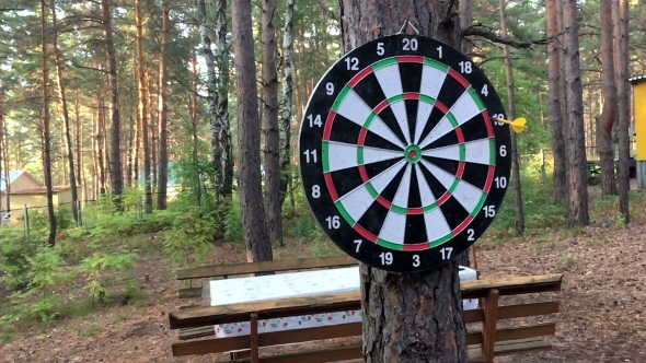 Game Darts In The Woods