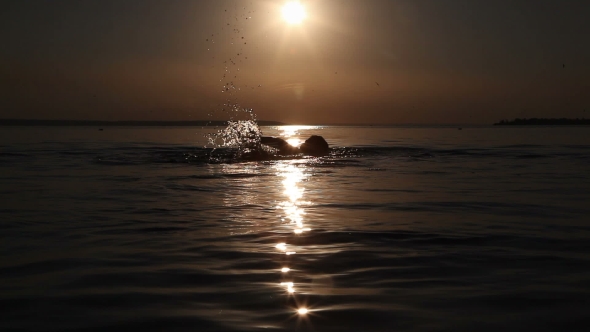 A Young Boy Floats At Sunset