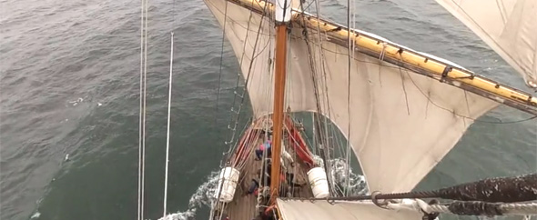 Video shot tall ship envato