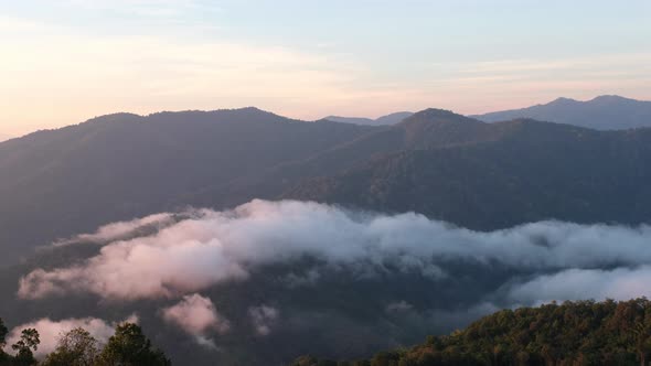 Landscape of greenery rainforest mountains and hills with the sea of fog