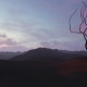 Dry Tree In The Mountains - VideoHive Item for Sale