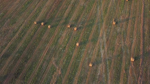 Harvesting, Flying Over The Cleared Field. Aerial shot, Combine Harvested Fields With Baling Hay.