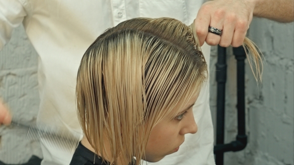 Women's Haircut. Hairdresser, Beauty Salon alt