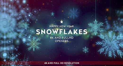 New Year and Christmas