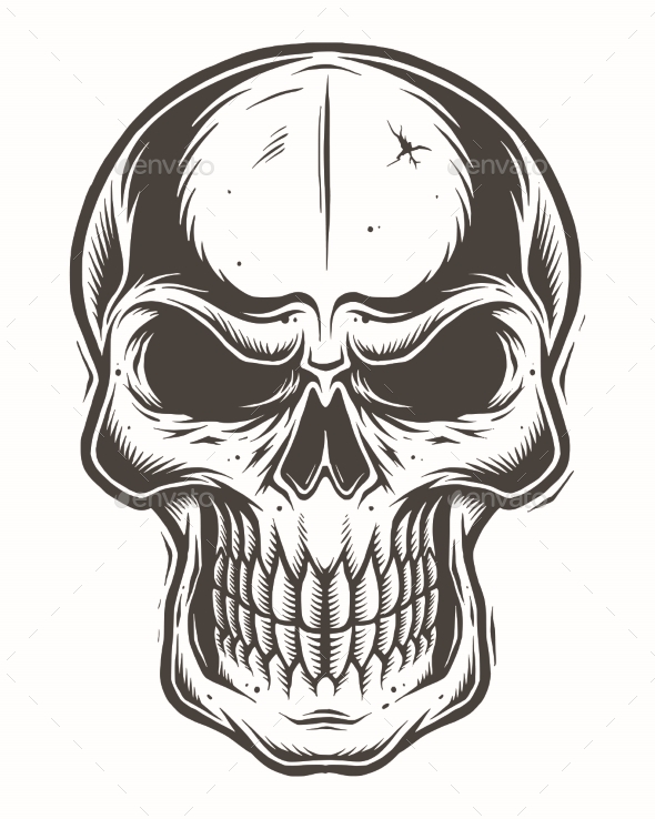 Isolated Skull on White Background by imogi  GraphicRiver