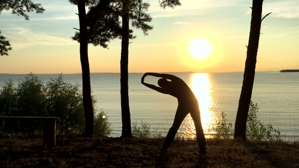 Sport In The Forest At Sunset