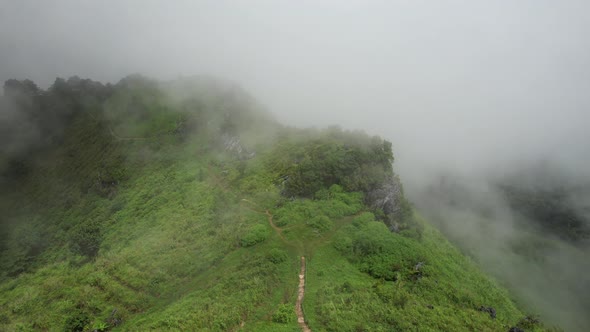 Aerial landscape view of greenery rainforest mountains on foggy day by drone