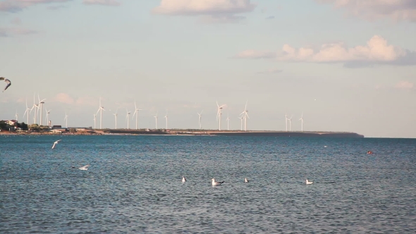 Seaview. Gulls In The Sky. In The Background View Of a Wind Turbine.