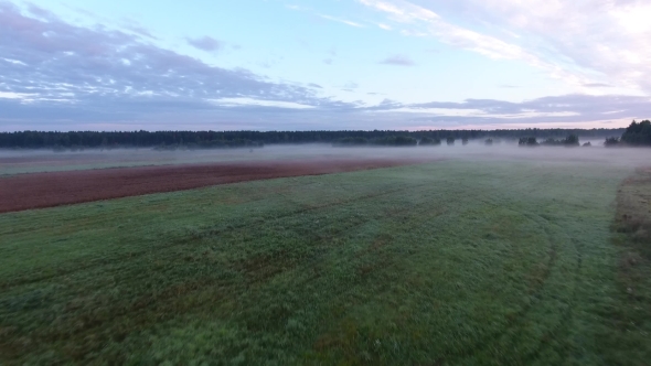 Misty Fields In Morning Birds Eye View