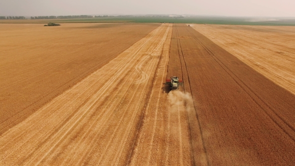 Aerial View Of Wheat Harvesting Shearers In  alt