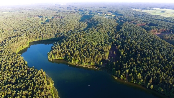 Flying Above Beautiful Lake in Green Forest