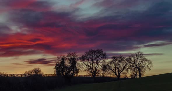 Tree Silhouettes With Beautiful Sunset Clouds Time Lapse