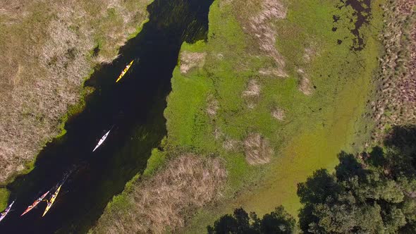 Bird's eye view of tourists kayaking in the Ibera Wetlands, Corrientes Province, Argentina alt