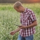 Young Farmer At Sunset With The Tablet. - VideoHive Item for Sale
