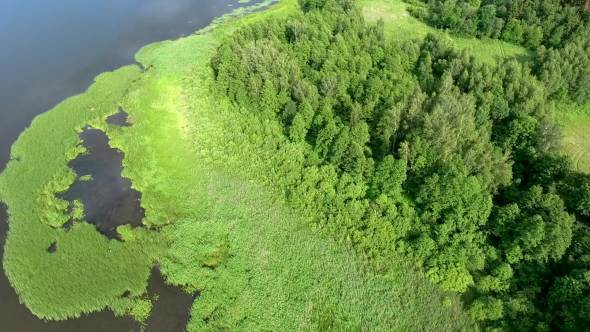 Beautiful River With Green Banks