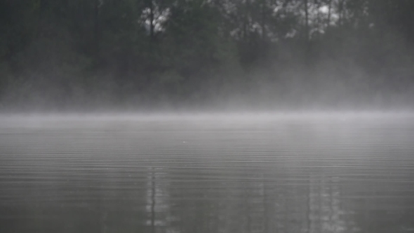 Morning Fog Over The Lake