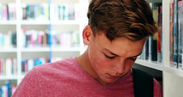 Smiling schoolboy standing in library alt