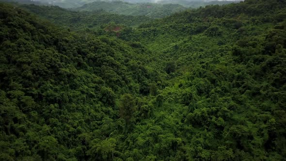 Logistic concept aerial view of countryside road passing through the serene lush greenery and foliag alt