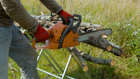Man Sawing a Branch With The Help Of An Chain Saw, Firewood
