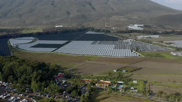 AERIAL: Field, Mexico, Forest, Clouds, Mountains (Flying Forward) alt