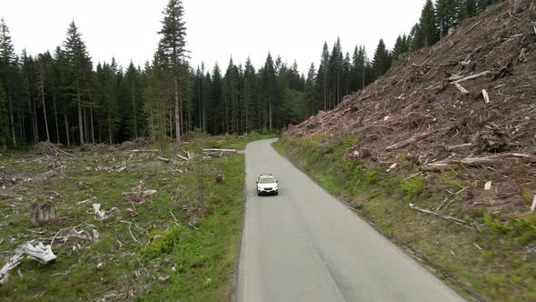 A white Subaru Crosstrek traveling along a paved forest road, aerial track back alt