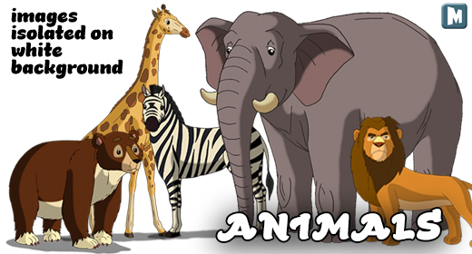 Animals isolated on White Background
