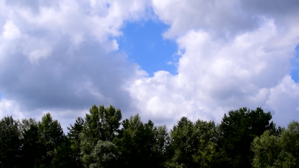  Of White Cumulus Clouds Moving Over Green Trees