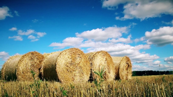 Stubble Field With Straw Bales Under Cloudy Sky.