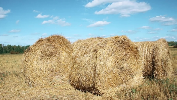 Stubble Field With Straw Bales Under Cloudy Sky.