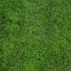 Movement And Rubbing Female Legs Against Each Other On a Background Of Green Grass - VideoHive Item for Sale