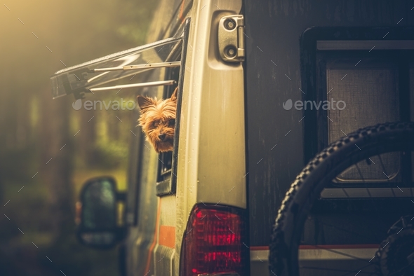 Motorhome Traveling with Pet - Stock Photo - Images