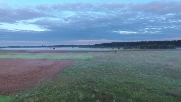 Misty Fields In Morning Birds Eye View