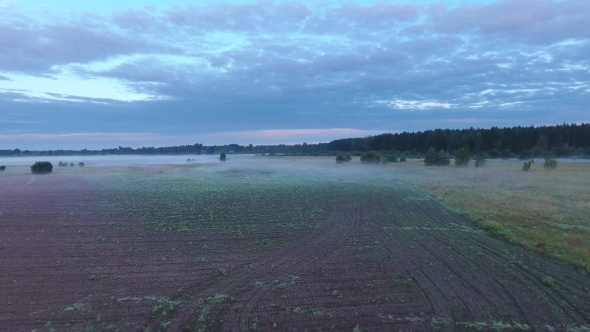 Misty Fields In Morning Birds Eye View