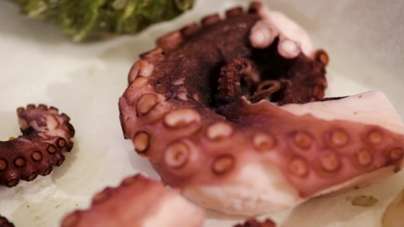 Octopus Arm, Dynamic Change Of Focus,  alt