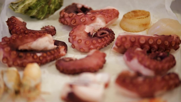 Raw Sea Scallops And Fresh  Octopuses, Dynamic Change Of Focus,  alt