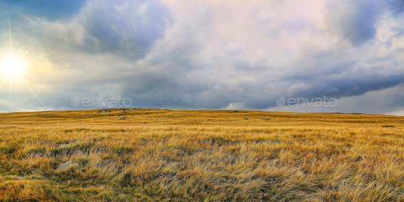 Summer meadow with sun and dramatic stormy cloudscape