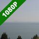 Black Sea Above the Treetops - VideoHive Item for Sale