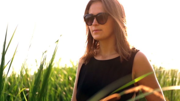 Girl Black Sunglasses Goes Across The Field Through Tall Grass Portrait