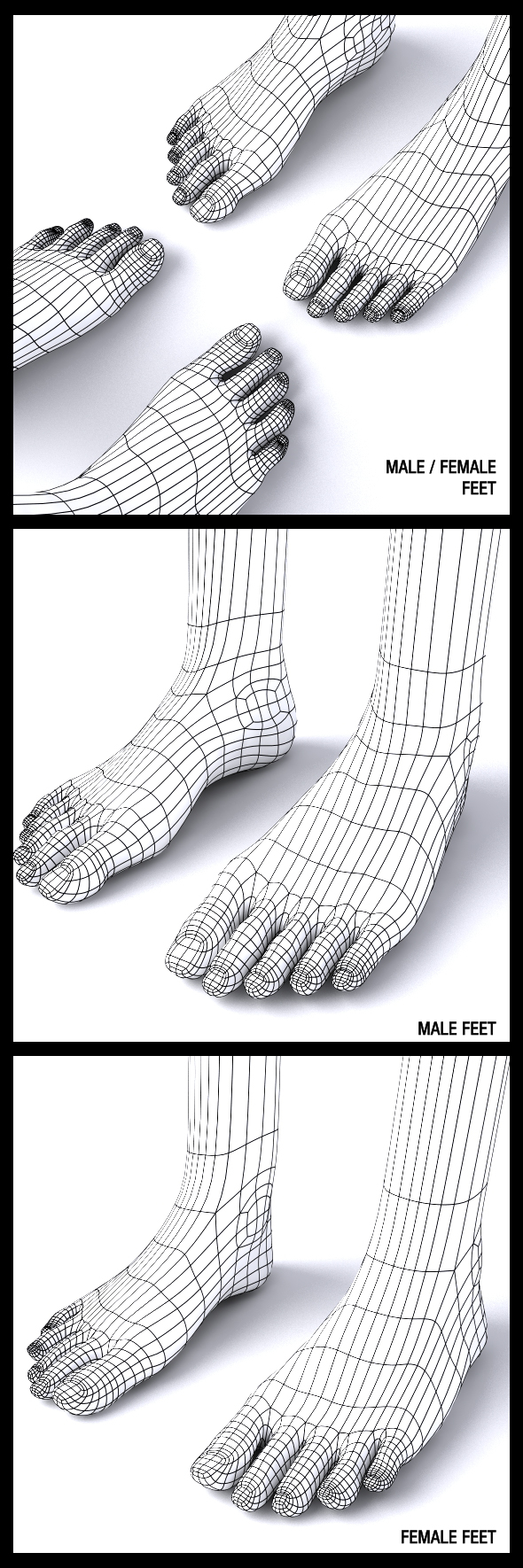 MaleFemale Feet - 3Docean 17709892