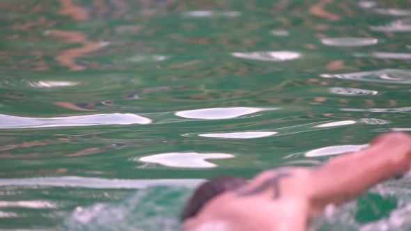 Fit Swimmer Doing The Butterfly Stroke In The Swimming Pool In  alt