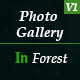 Photo Gallery In Forest Photo Gallery In Forest - VideoHive Item for Sale