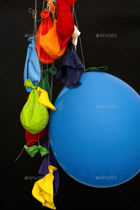 End of the party. Burst, deflated balloons