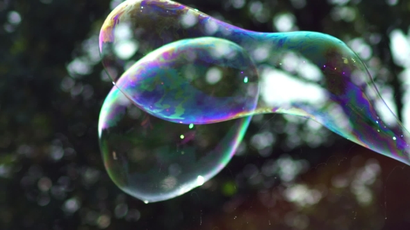 Metamorphosis Of Big Soap Bubbles In. Big Bubble Shimmering