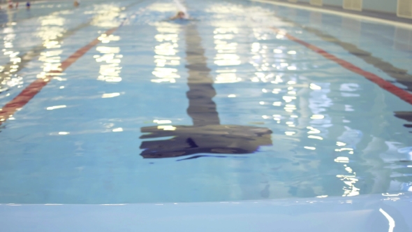 Female Swimmer Training In Swimming Pool
