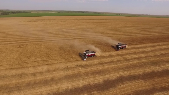 Aerial Shot, Camera Flying Round Of Two Harvester Moving On Golden Field And Harvesting Crop