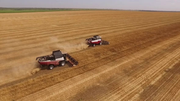 Two Red-white Modern Harvesters Working On a Field In Harvest Time,aerial Shot, Drone Flying Around