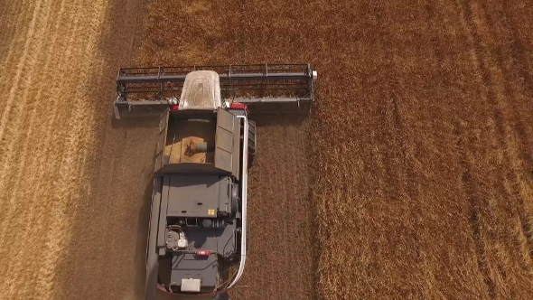 Drone Flying Up Over Two Modern Harvester Working On a Field With Grain Golden Rye