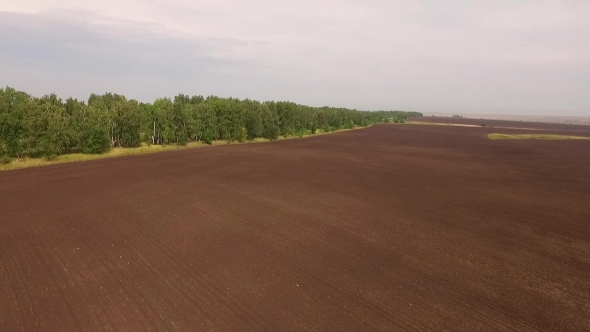 Aerial Shot Of Plowed And Seeded Field Near Green Forest, Camera Moving Around